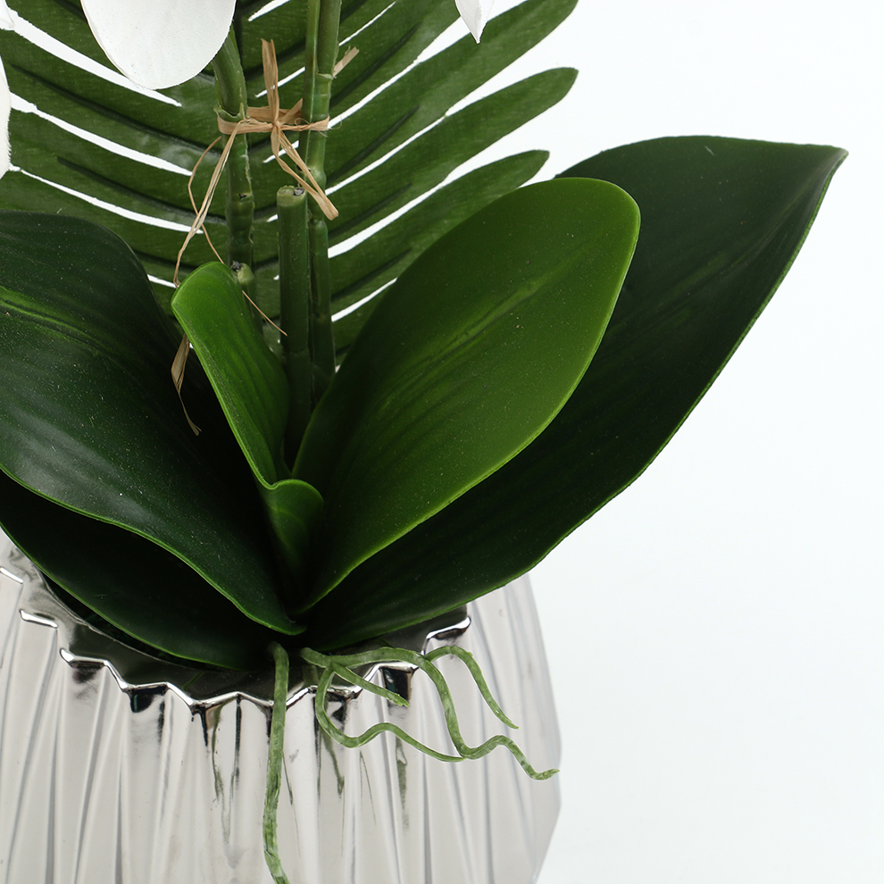 Simulated Phalaenopsis orchid display ceramic basin window interior decoration Item Picture