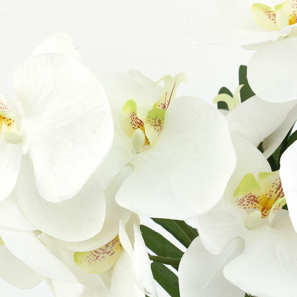 Simulated Phalaenopsis orchid display ceramic basin window interior decoration Specification image