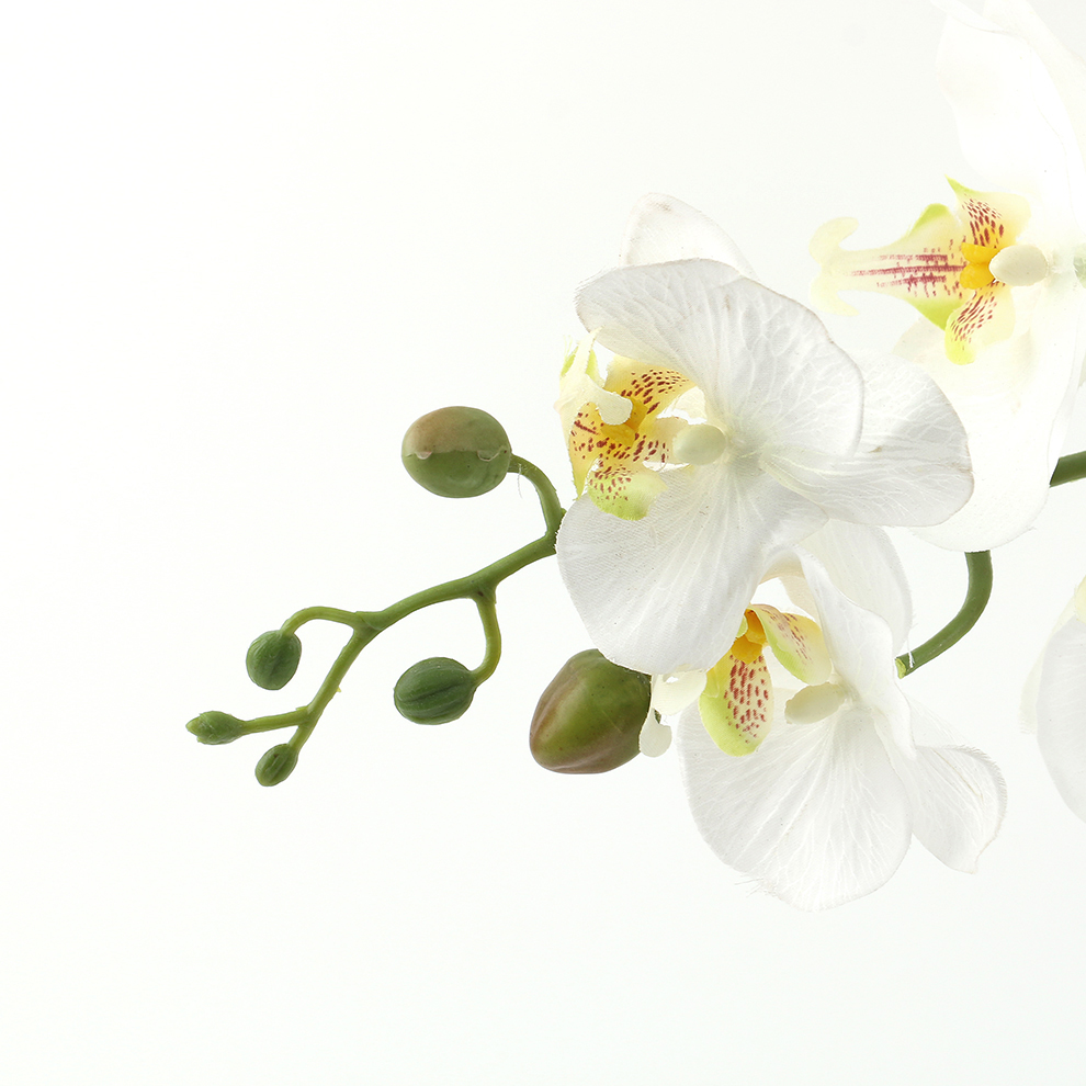 Simulated Phalaenopsis orchid display ceramic basin window interior decoration Application Scenario
