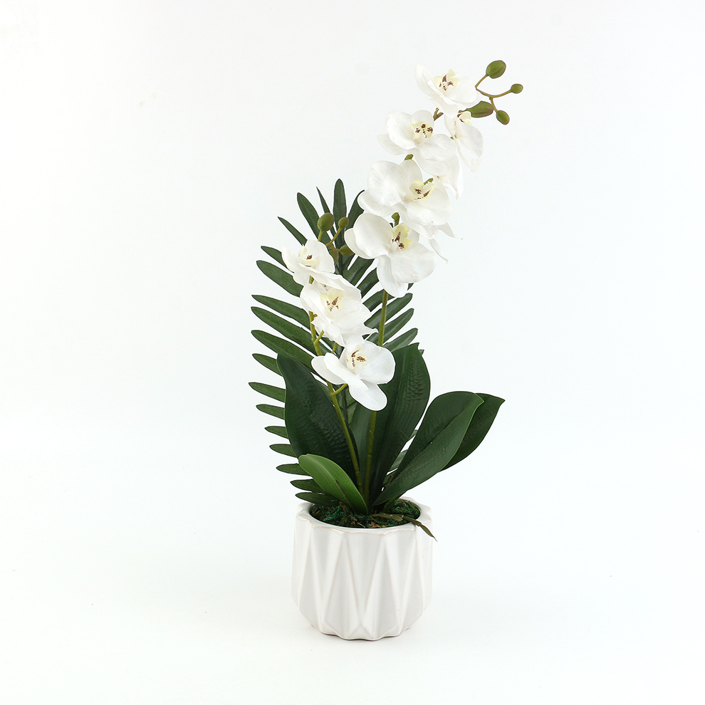 Ceramic basin simulation Phalaenopsis decorative item for home decoration Specification image