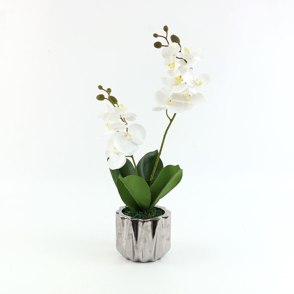 Ceramic basin simulation Phalaenopsis decorative item for home decoration details Picture