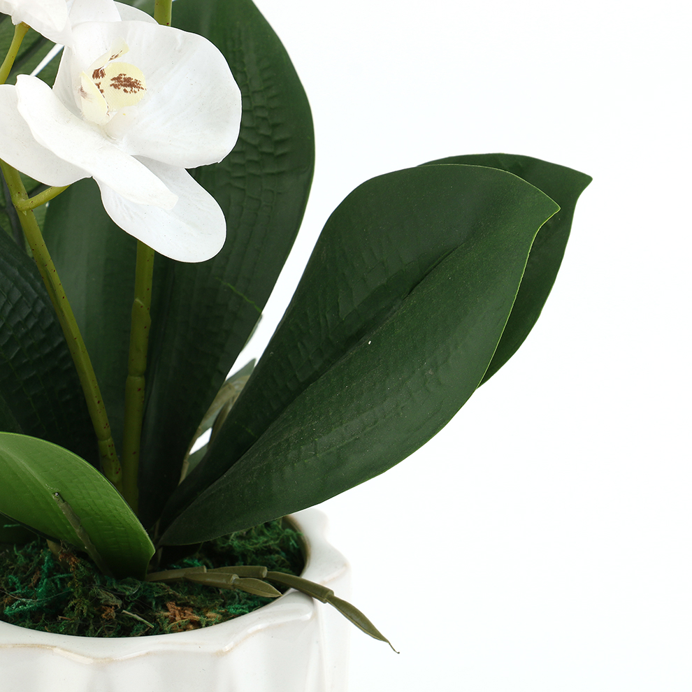 Ceramic basin simulation Phalaenopsis decorative item for home decoration Item Picture