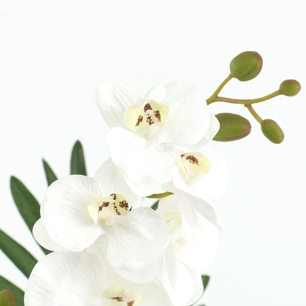 Ceramic basin simulation Phalaenopsis decorative item for home decoration Application Scenario