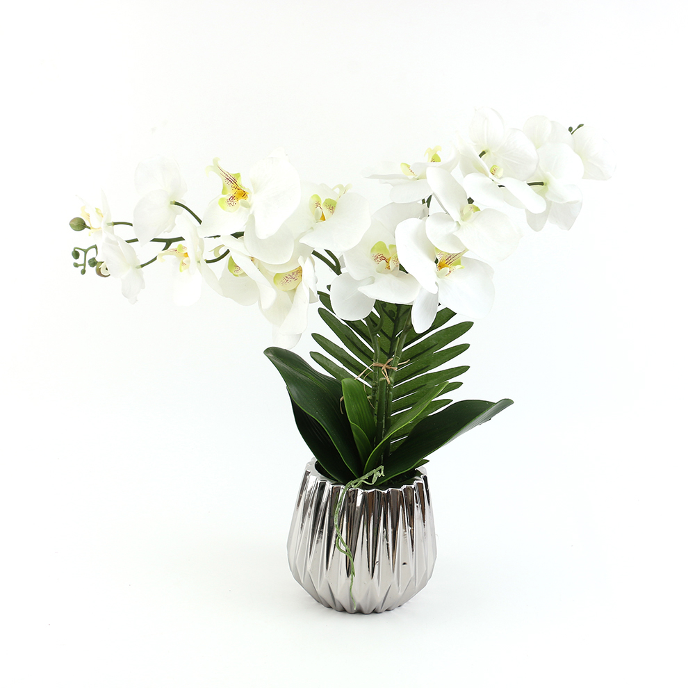 Simulated Phalaenopsis orchid display ceramic basin window interior decoration details Picture