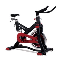 动感单车健身车家用健身房锻炼单车