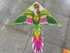 Heat transfer printing 1.4 Phoenix color Bright, easy to fly and sell, factory wholesale Application Scenario