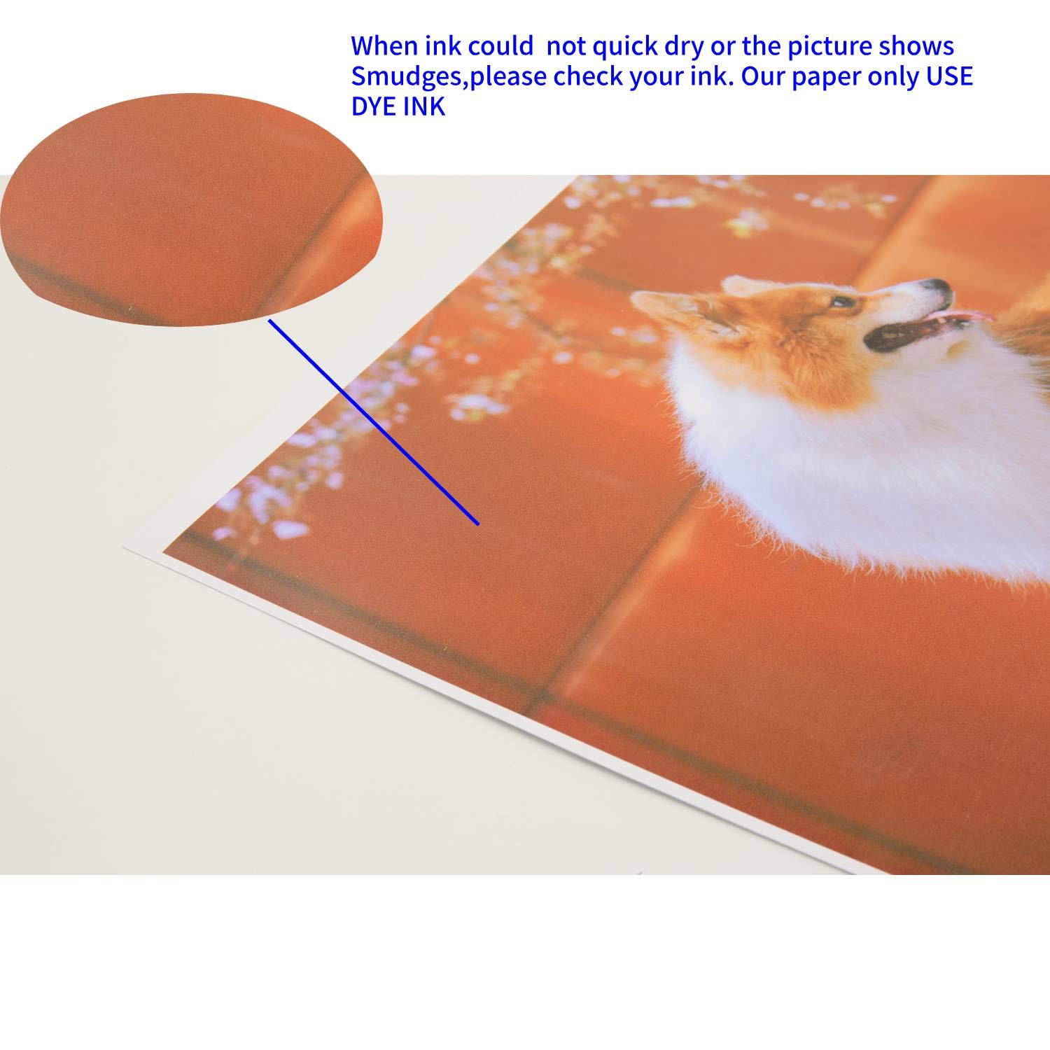 8.5x11 glossy double-sided photo paper, 160g photo paper, 100 photo paper, photo paper, photo paper details Picture