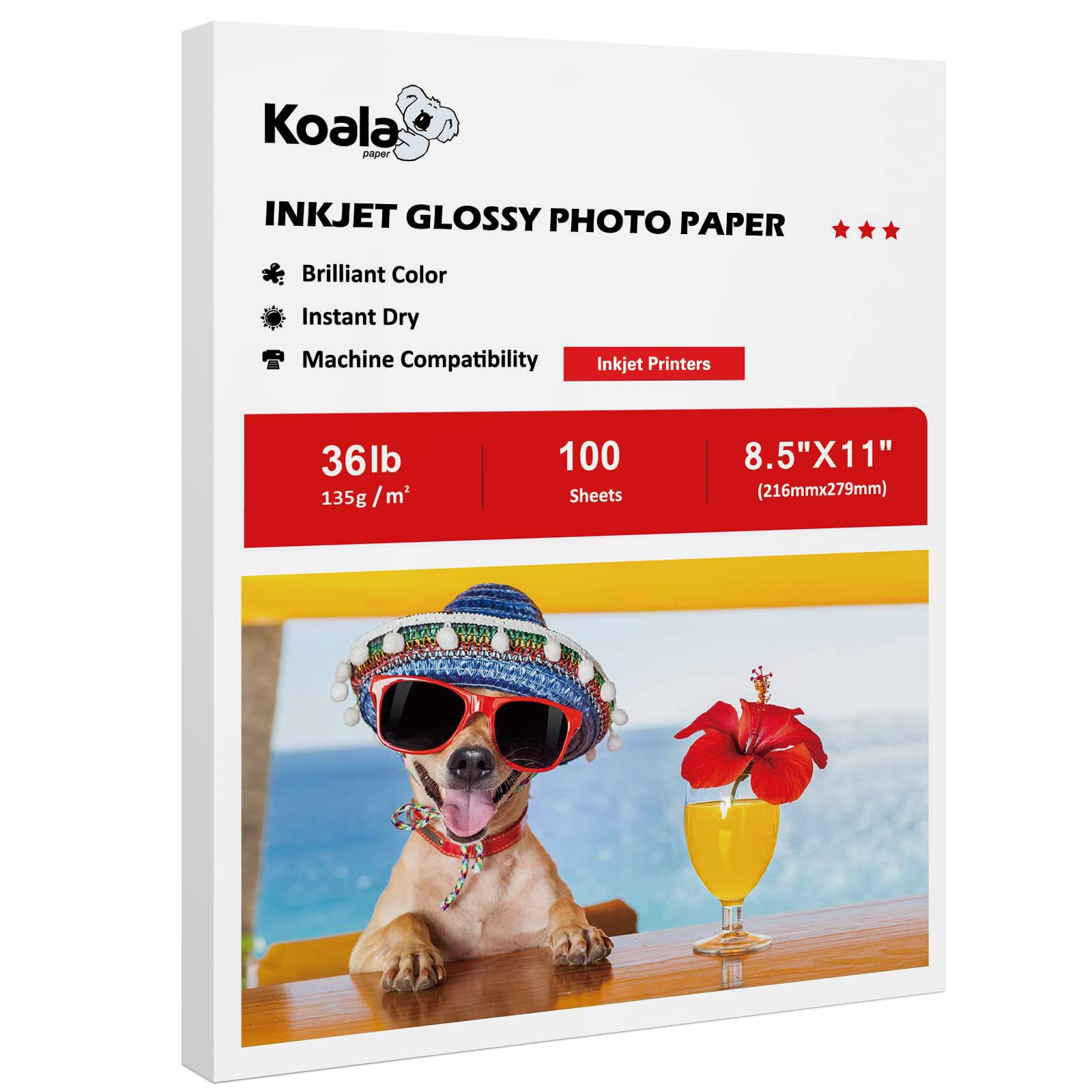 8.5"x11" Koala glossy photo paper 135gsm photo paper 100 Photo paper Photo Paper Photo Paper Photo Paper Image paper Image paper