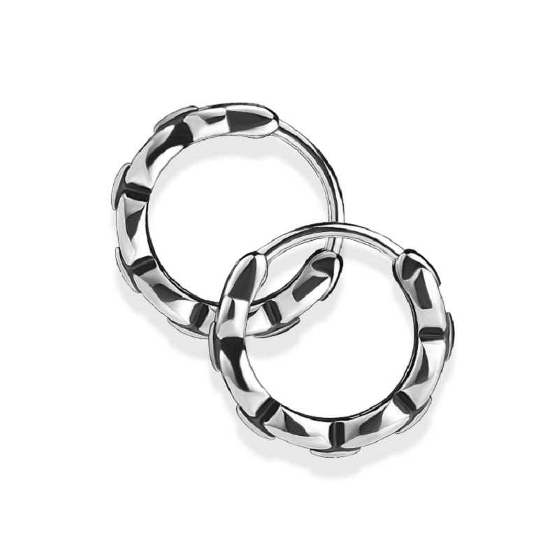 Changsheng Jewelry's unique and simple earrings, retro punk style street niche earrings Specification image
