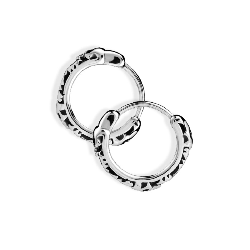 Changsheng Jewelry offers wholesale of personalized punk-style skull earrings, stainless steel ear rings and earrings Specification image