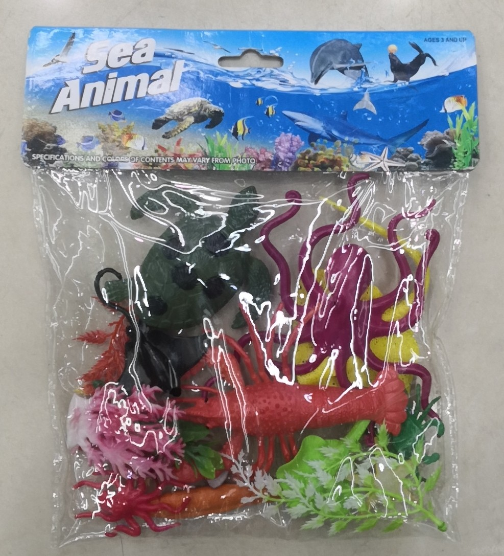 海洋细节图