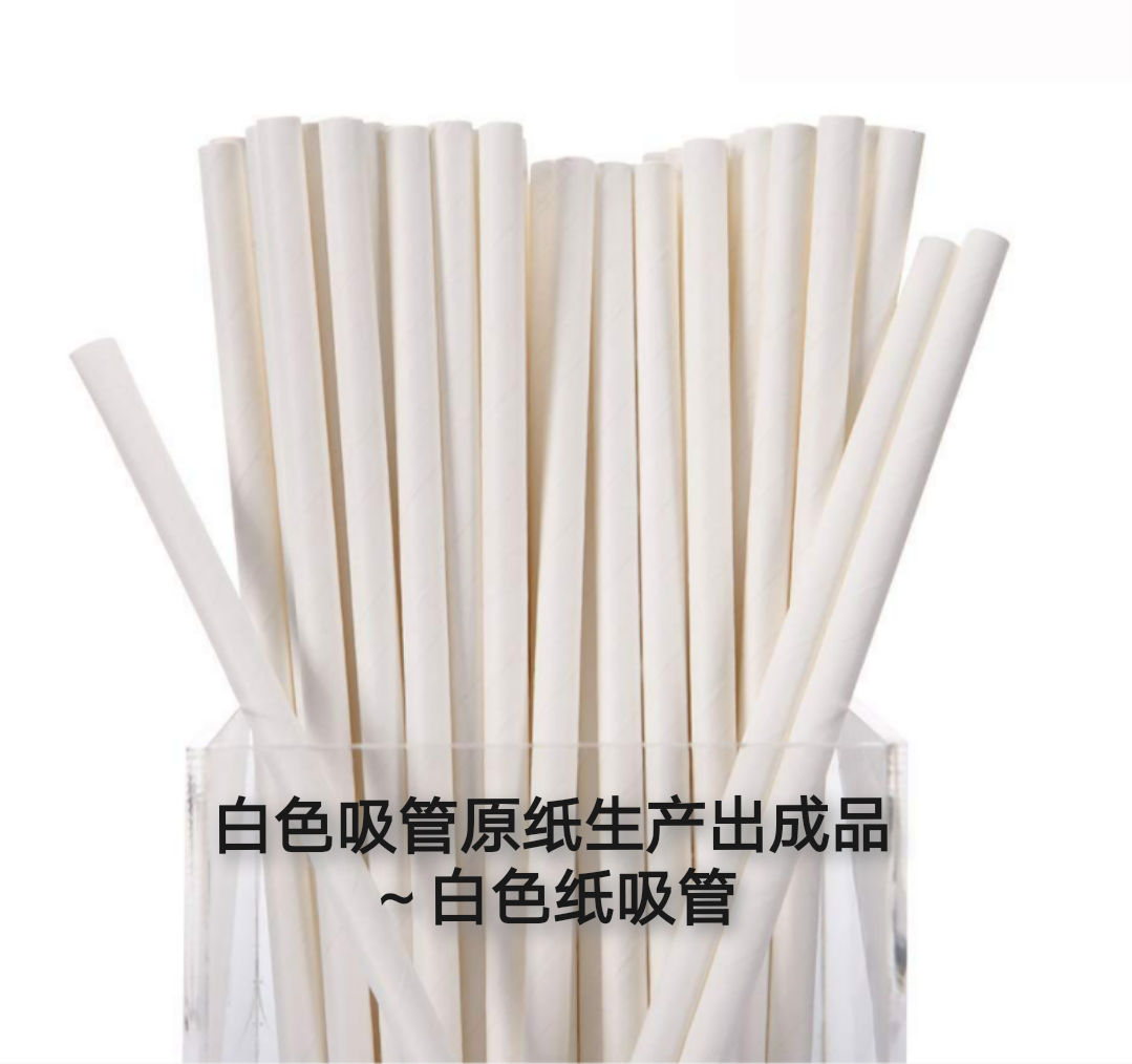 吸管纸原纸straw base paper详情图5