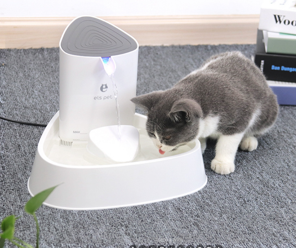 Export of electric circulating silent filtering water dispensers