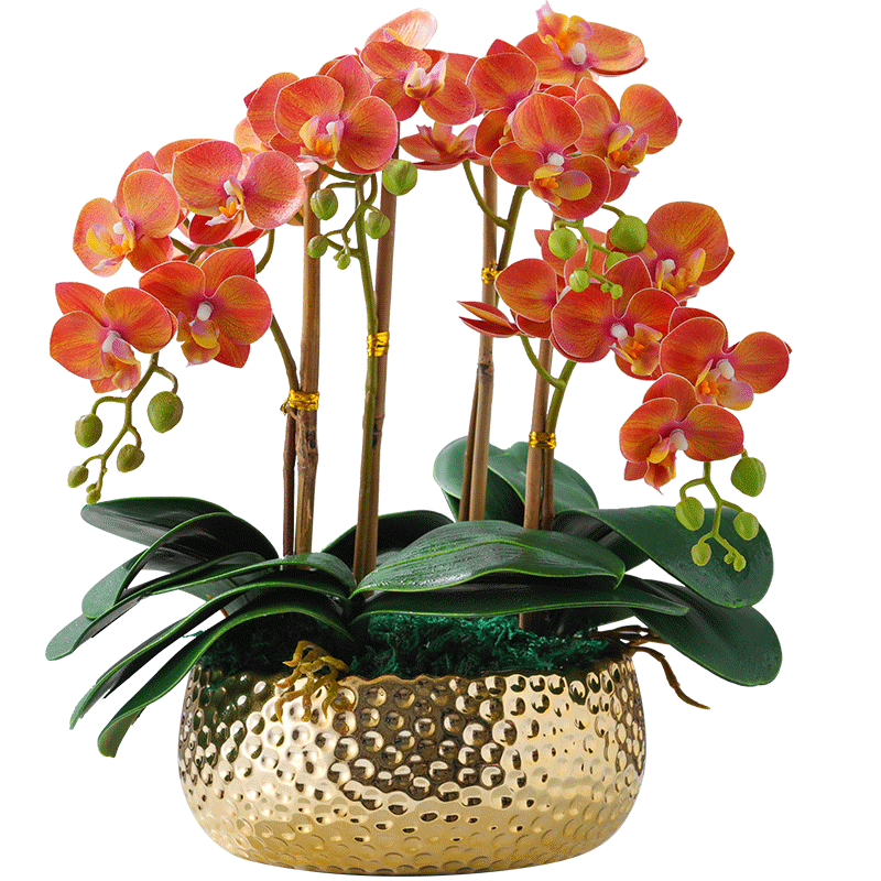 陶瓷花瓶/电镀花盆产品图