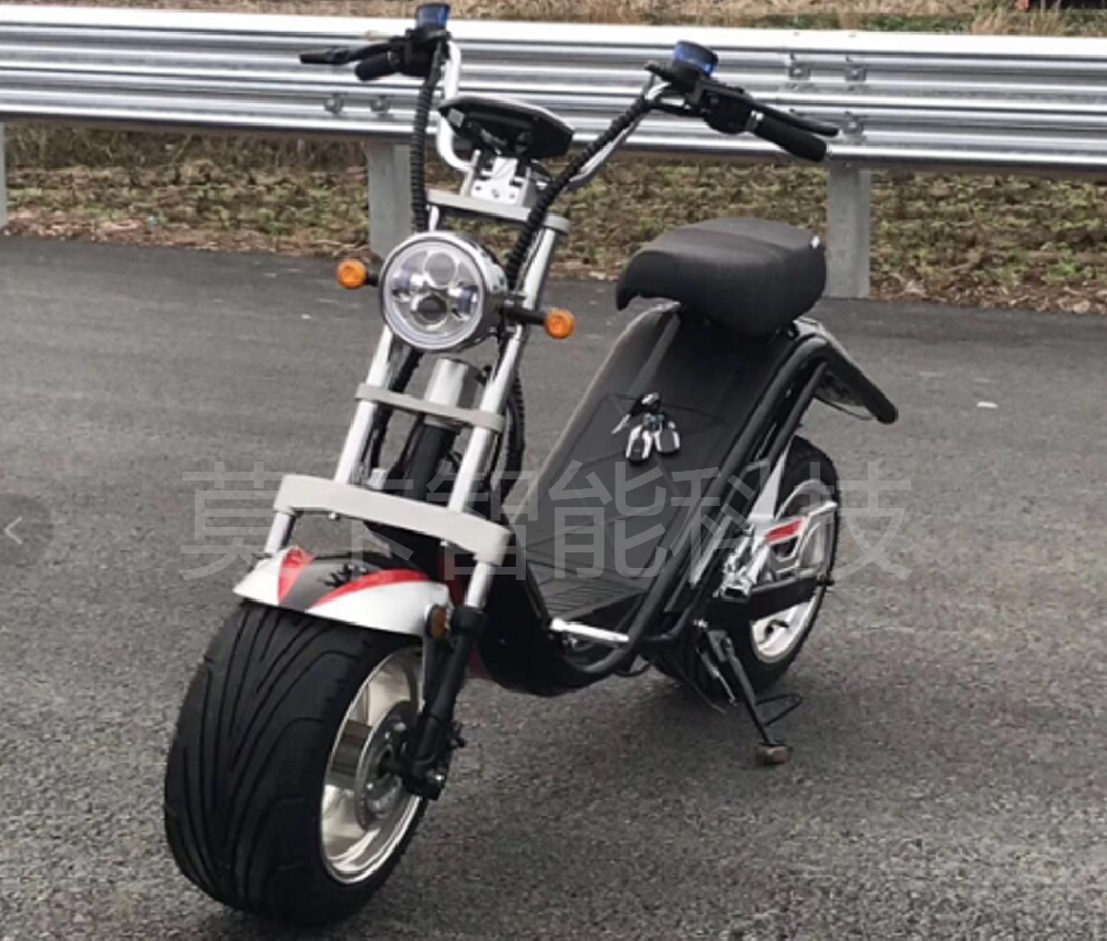 Factory direct sales of 12-inch x 14-inch electric Harley-Davidson motorcycles