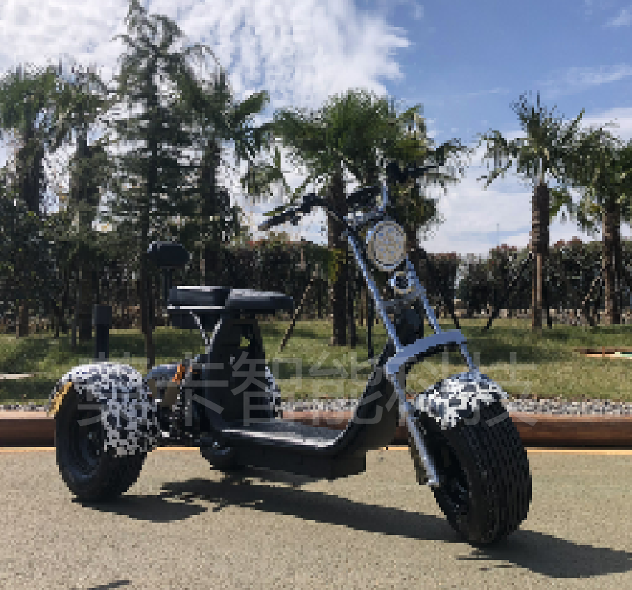Factory direct sales of 8-inch X10 detachable three-wheeled electric Harley-Davidson bikes