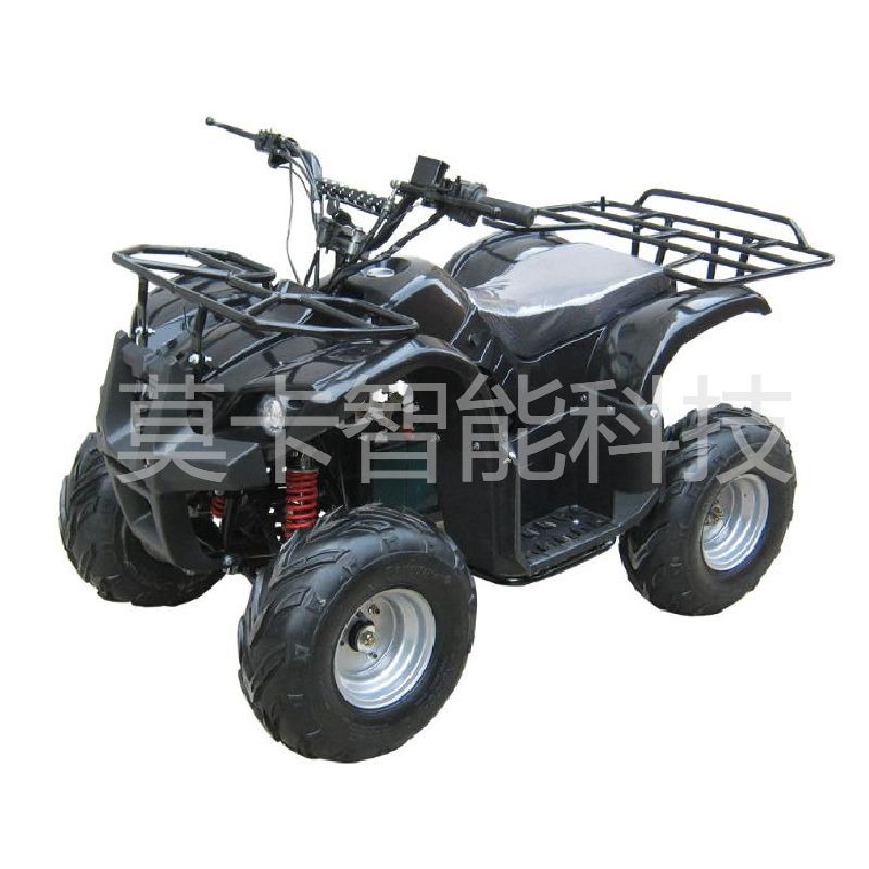 厂家直供电动沙滩车