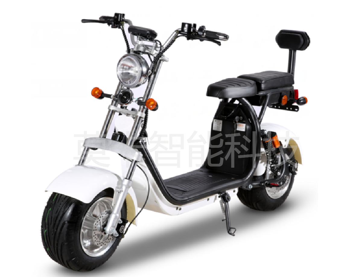 Factory direct sales of the new X11 electric Harley-Davidson with chassis