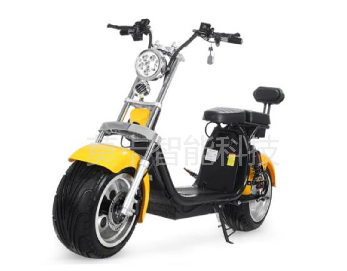Factory direct sales of X12 models of electric Harley-Davidson motorcycles