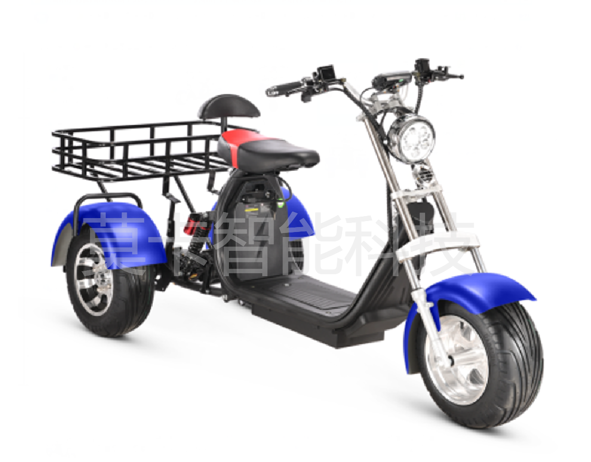 Factory direct sales of X10 double-bar large basket electric Harley-Davidson