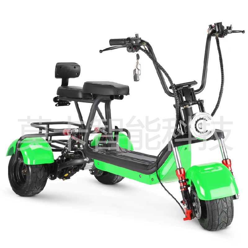 Venta directa de fábrica mini-5 tres ruedas modelo eléctrico harley Application Scenario