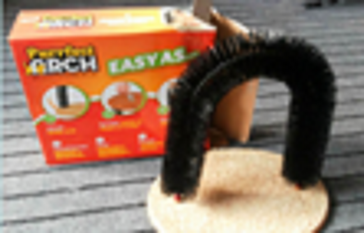 Cat tray