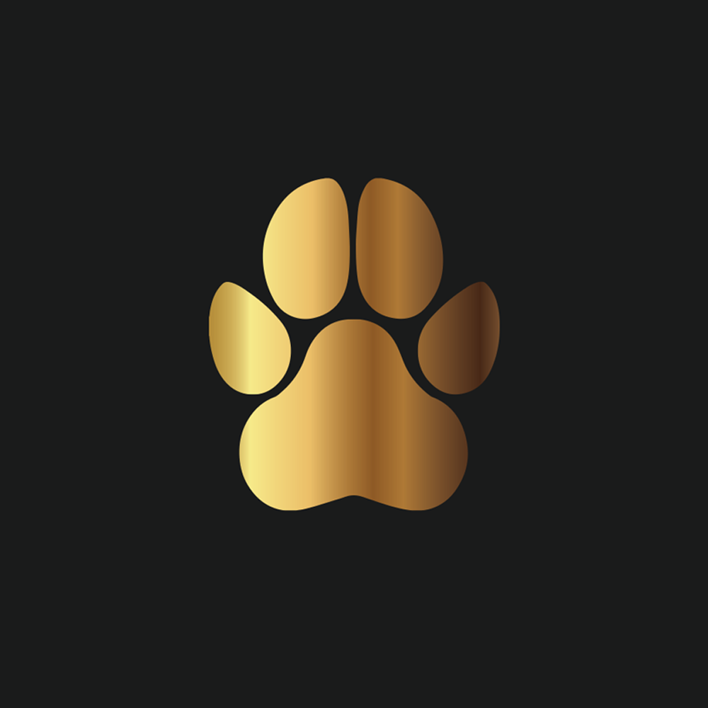 捷克/宠物食品/宠物产品图