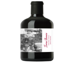 Torres & Romero Petit Verdot 18 个月橡木桶西班牙红酒
