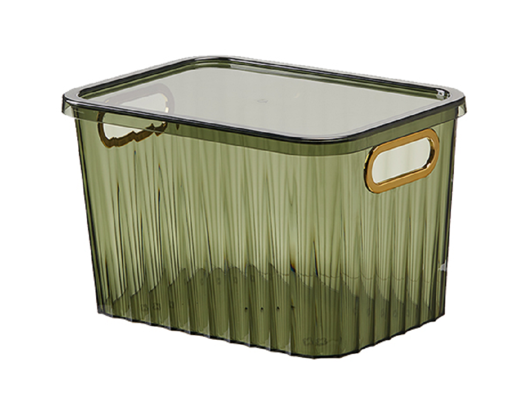 广华轻奢透明收纳盒带盖大号2882