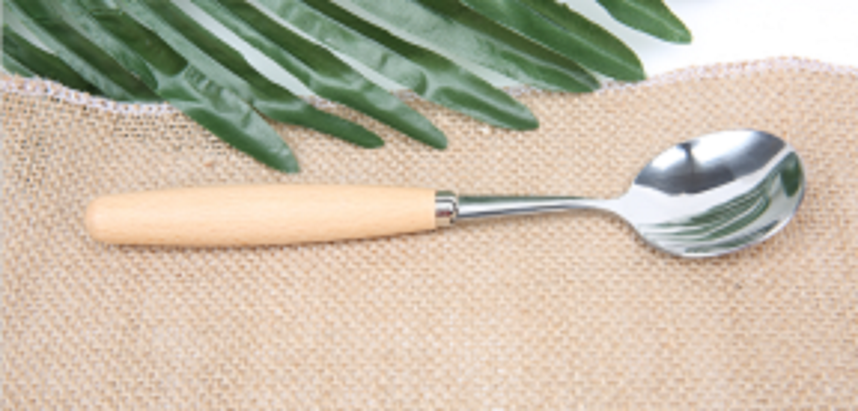 Top Beauty No. 1 Round Spoon 733