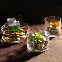 加厚圆形玻璃花瓶透明水培多肉植物矮花盆桌面简约北欧装饰居家尺寸齐全