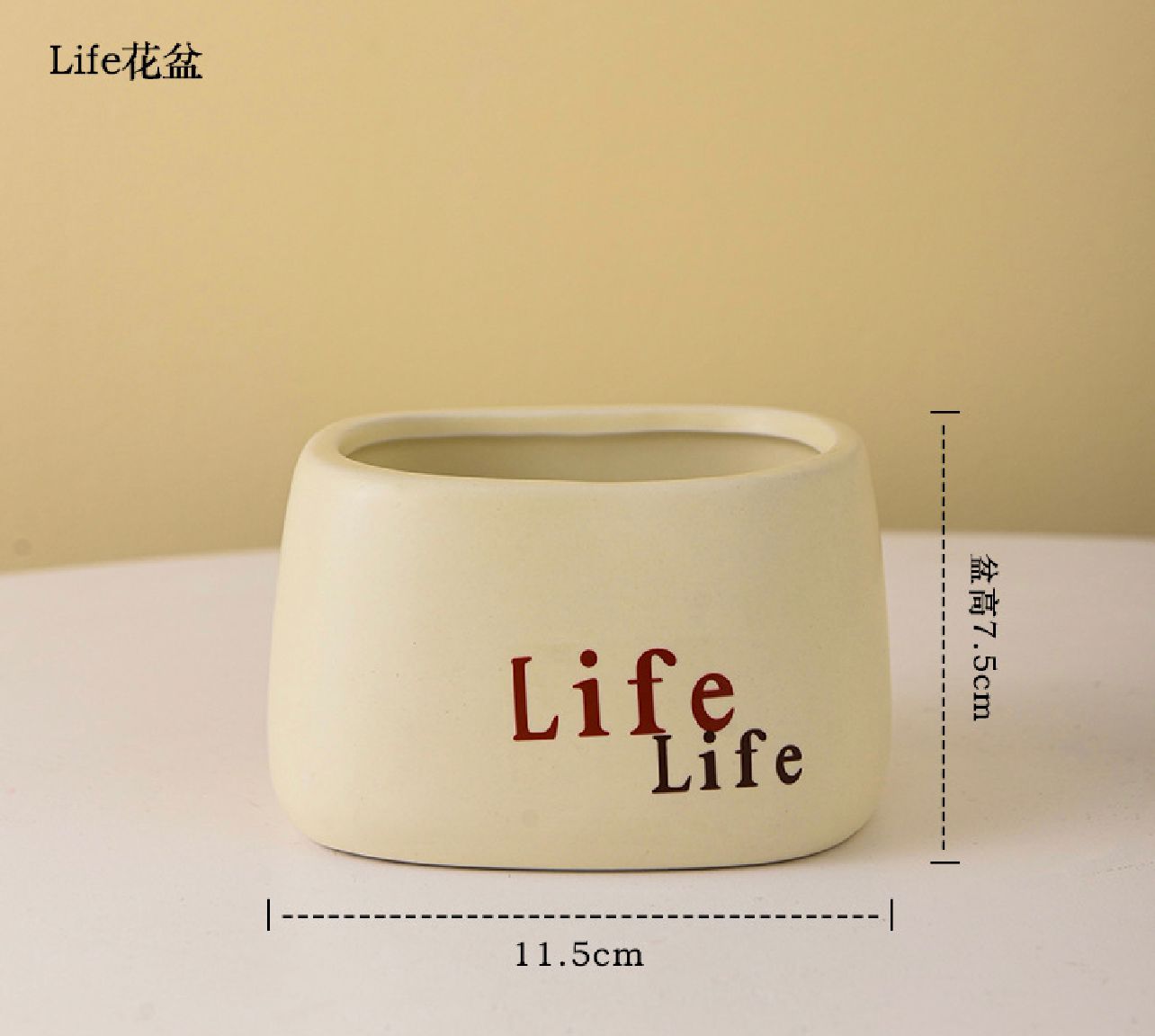 陶瓷花盆/家居摆件/发财果插花花白底实物图