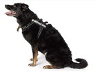 夜光K9宠物魔术贴狗狗胸背带夜光个性贴标 动物K-9服务犬背心贴片可免费设计画图