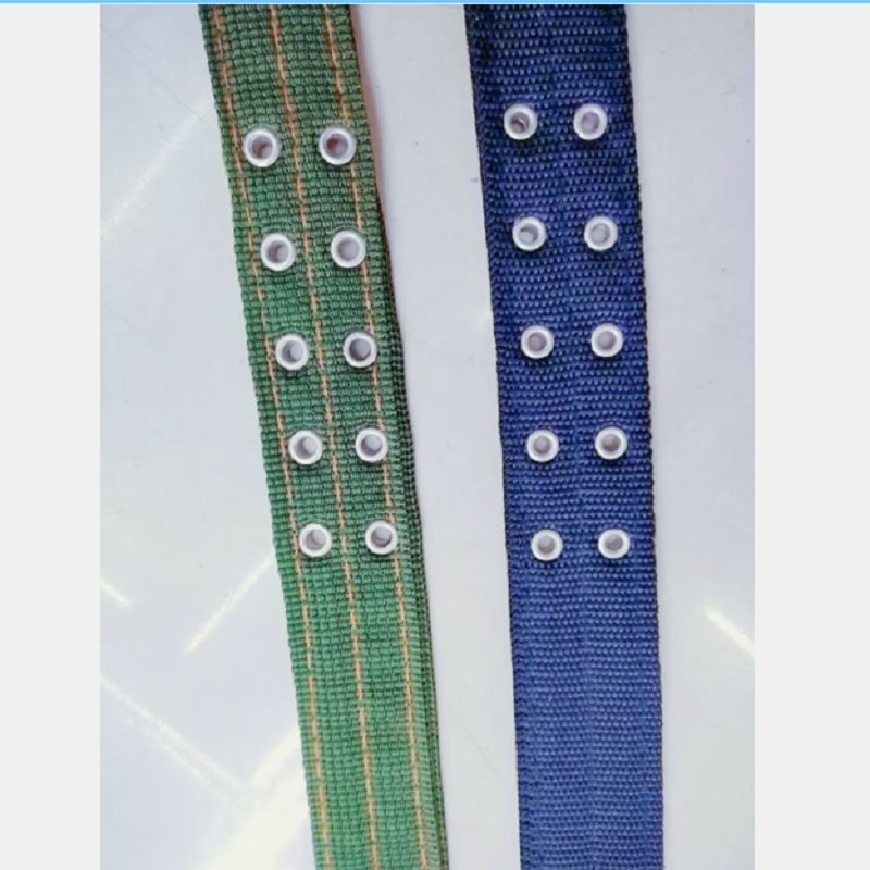 宠物项圈白底实物图