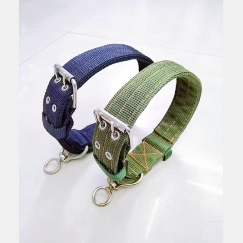 宠物项圈产品图