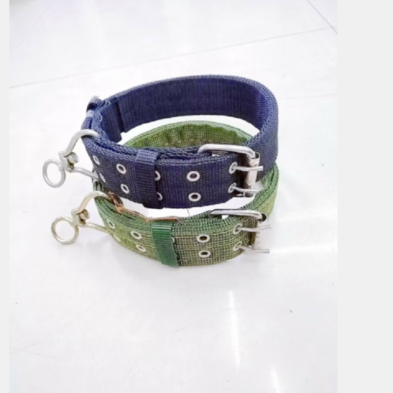 Xinan 贝宠 2.5cm旋转双排扣宠物项圈 宠物用品饰品猫狗通用脖套透气舒适款 X2501 宽2.50cm