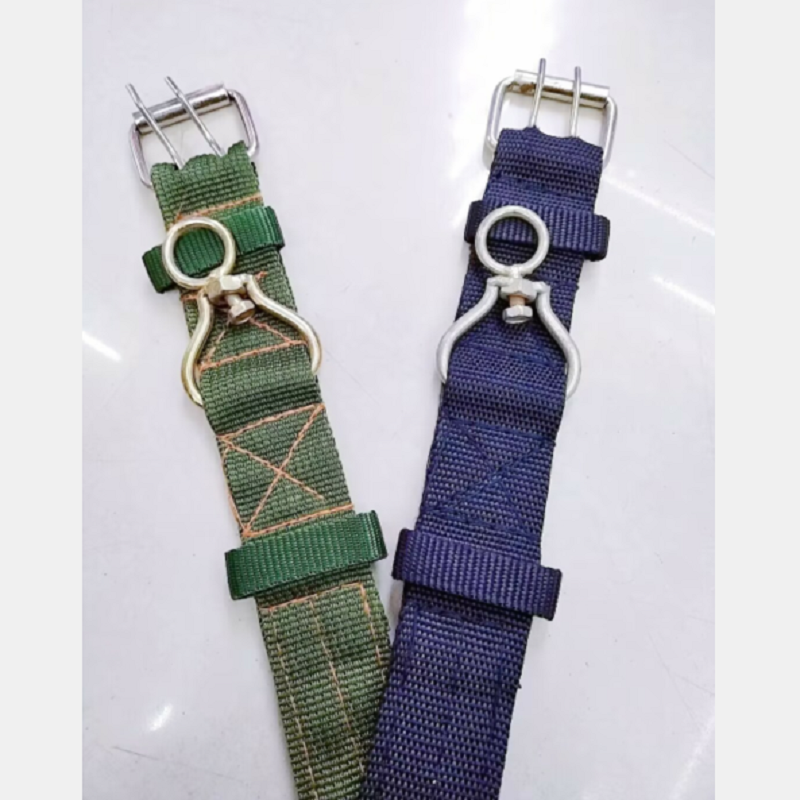 宠物项圈实物图