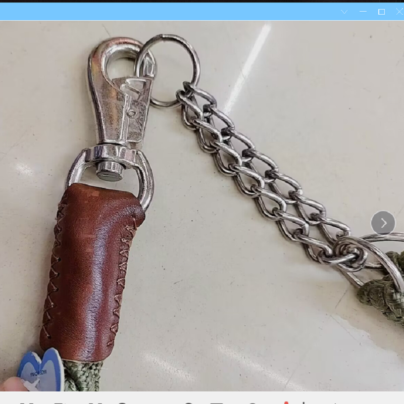 狗狗牵引实物图