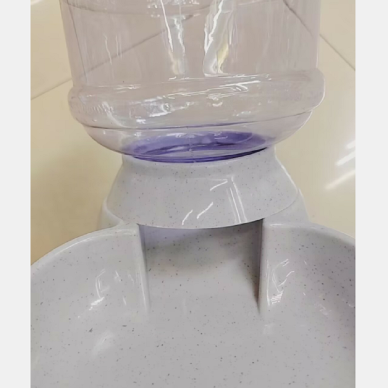 狗狗食具实物图