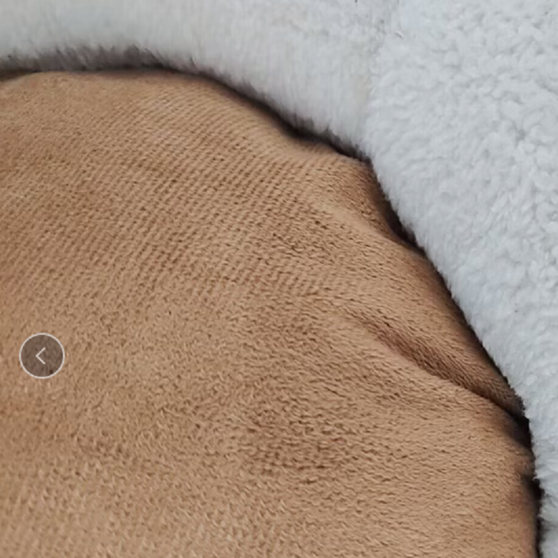الحيوانات الأليفة لديها قطتين من عش القطط Item Picture