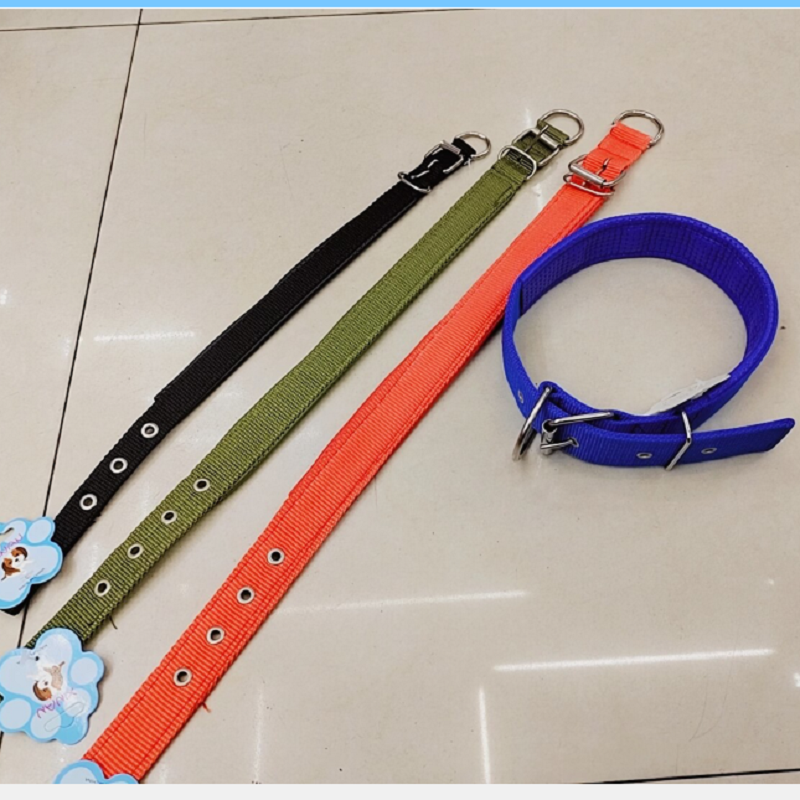 The adjustable pet collar for the dog is 3cm wide Application Scenario
