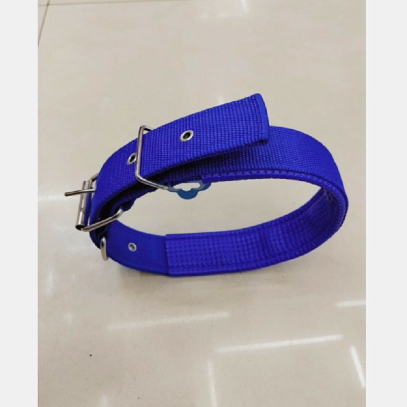 The adjustable pet collar for the dog is 3cm wide details Picture
