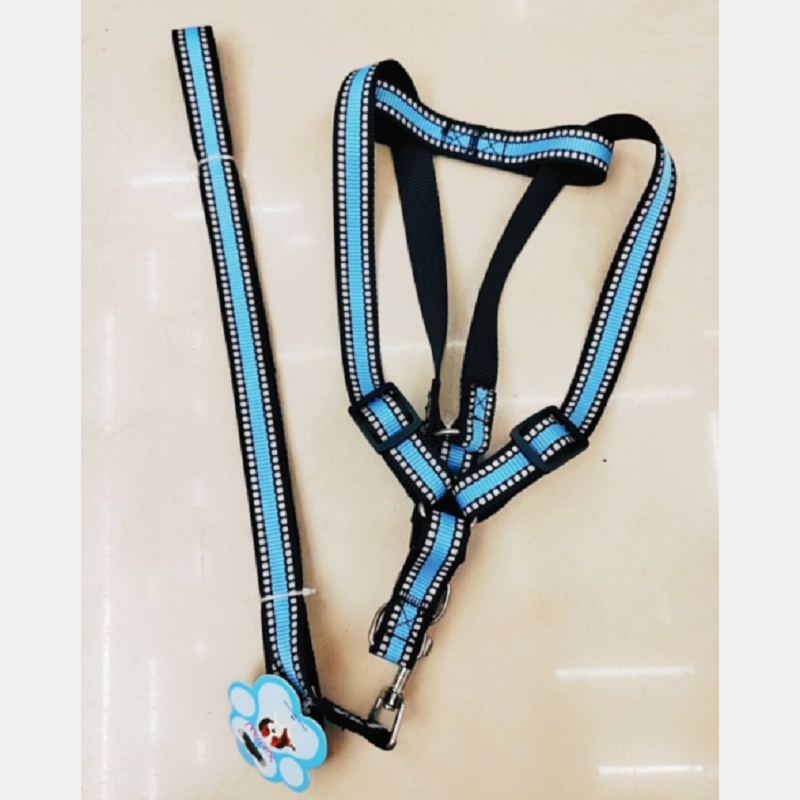 Cuerda de tracción para mascotas 2.0cm con correa fluorescente cuerda de tracción + correa fluorescente en la espalda del pecho Application Scenario