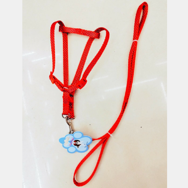Pet leash 1.0cm, Dot 1 leash + chest and back Item Picture