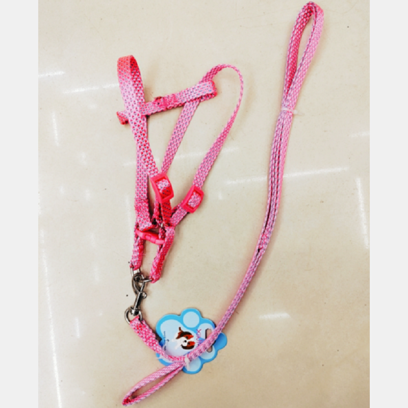 Pet leash 1.0cm, Dot 1 leash + chest and back Application Scenario