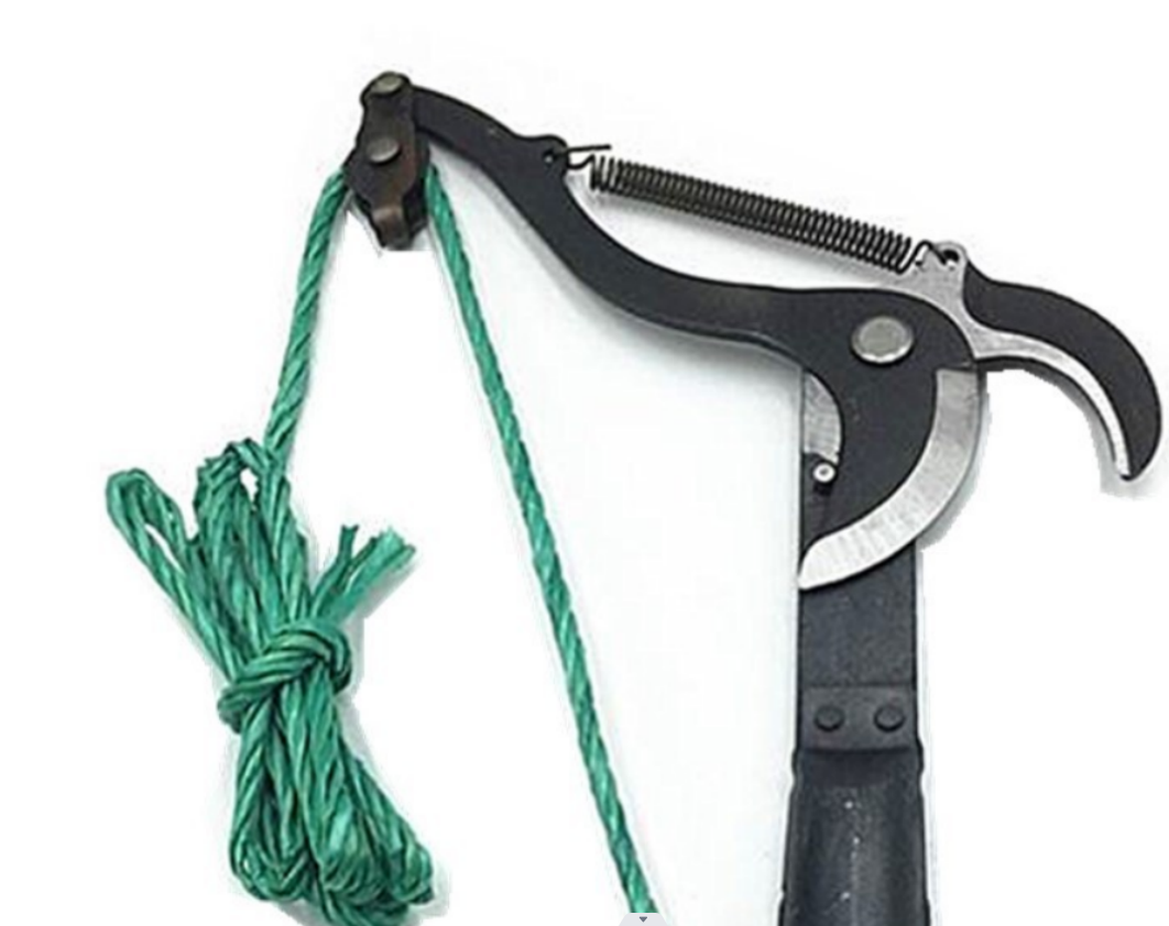 High branch pruning, high-altitude pruning, branch pruning, fruit picking pruning