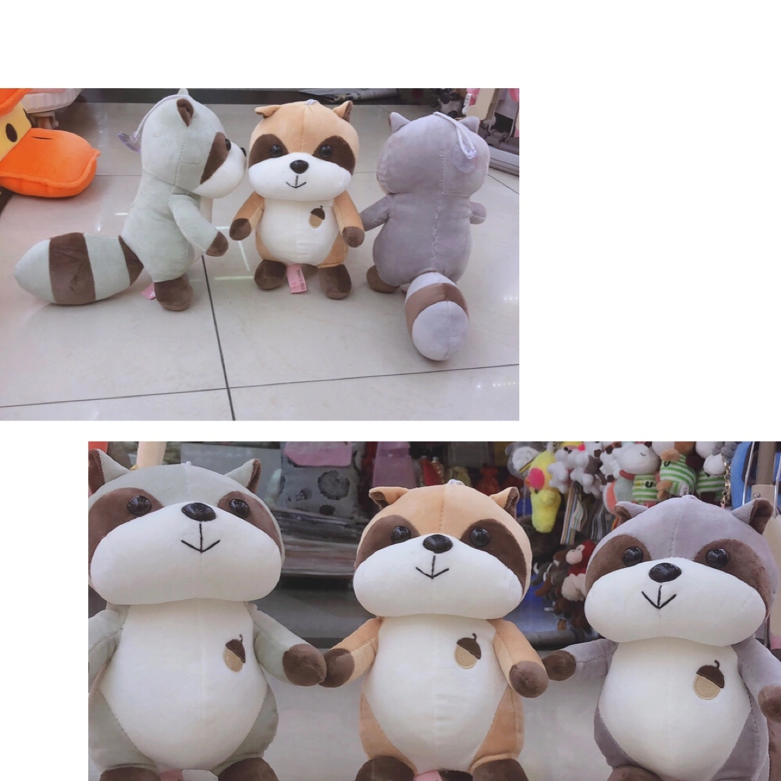 Raccoon Specification image