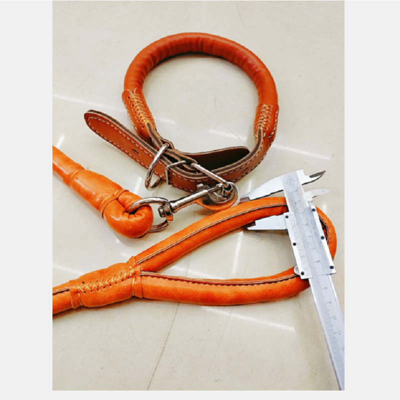 Diámetro 1.5cmPU round rope + collar cuerda de tracción para mascotas medianas y grandes cuerda de tracción para mascotas + collar Application Scenario
