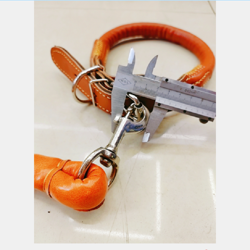 Diámetro 1.5cmPU round rope + collar cuerda de tracción para mascotas medianas y grandes cuerda de tracción para mascotas + collar Item Picture