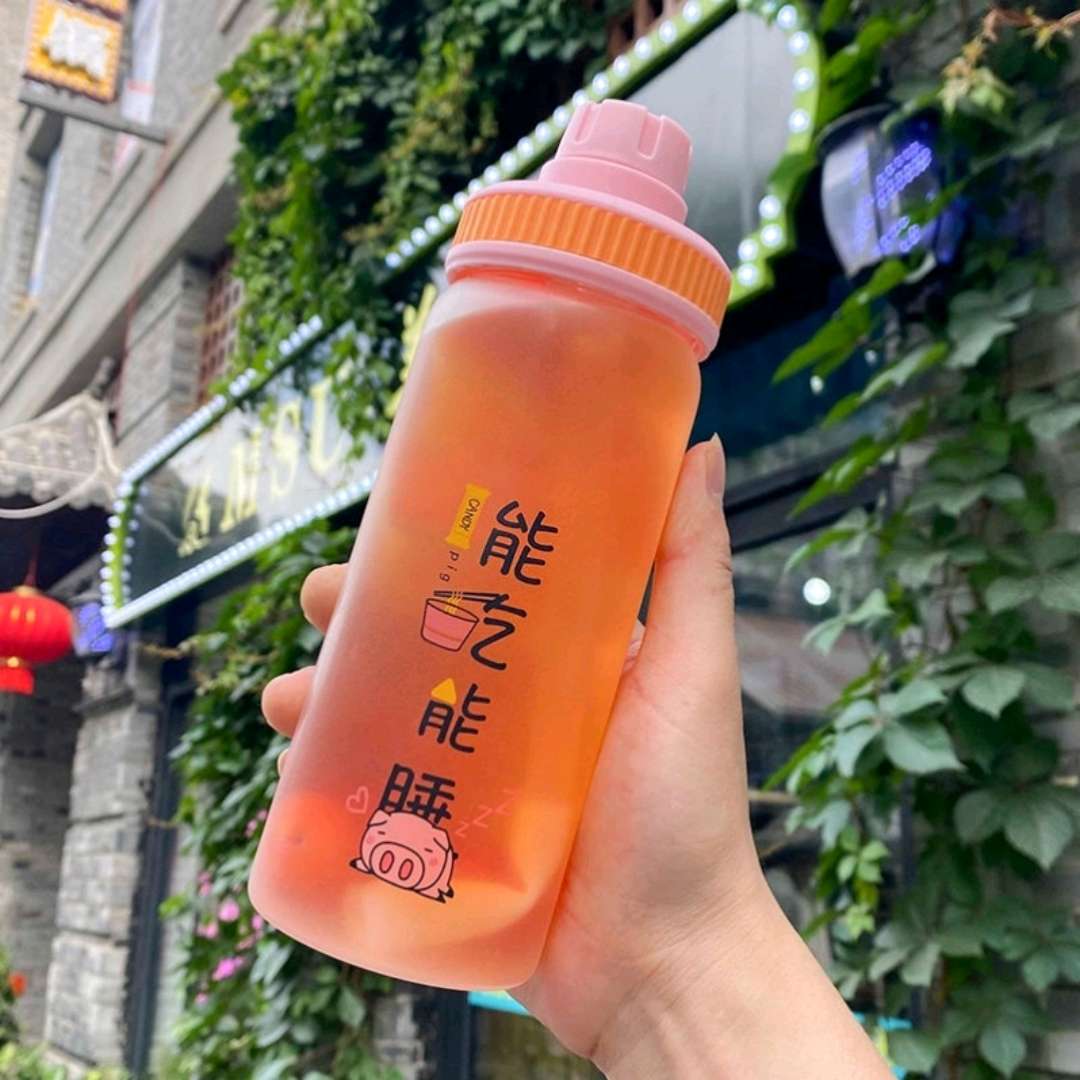 创意水杯吸管杯子学生韩版可爱ins网红清新便携磨砂玻璃杯